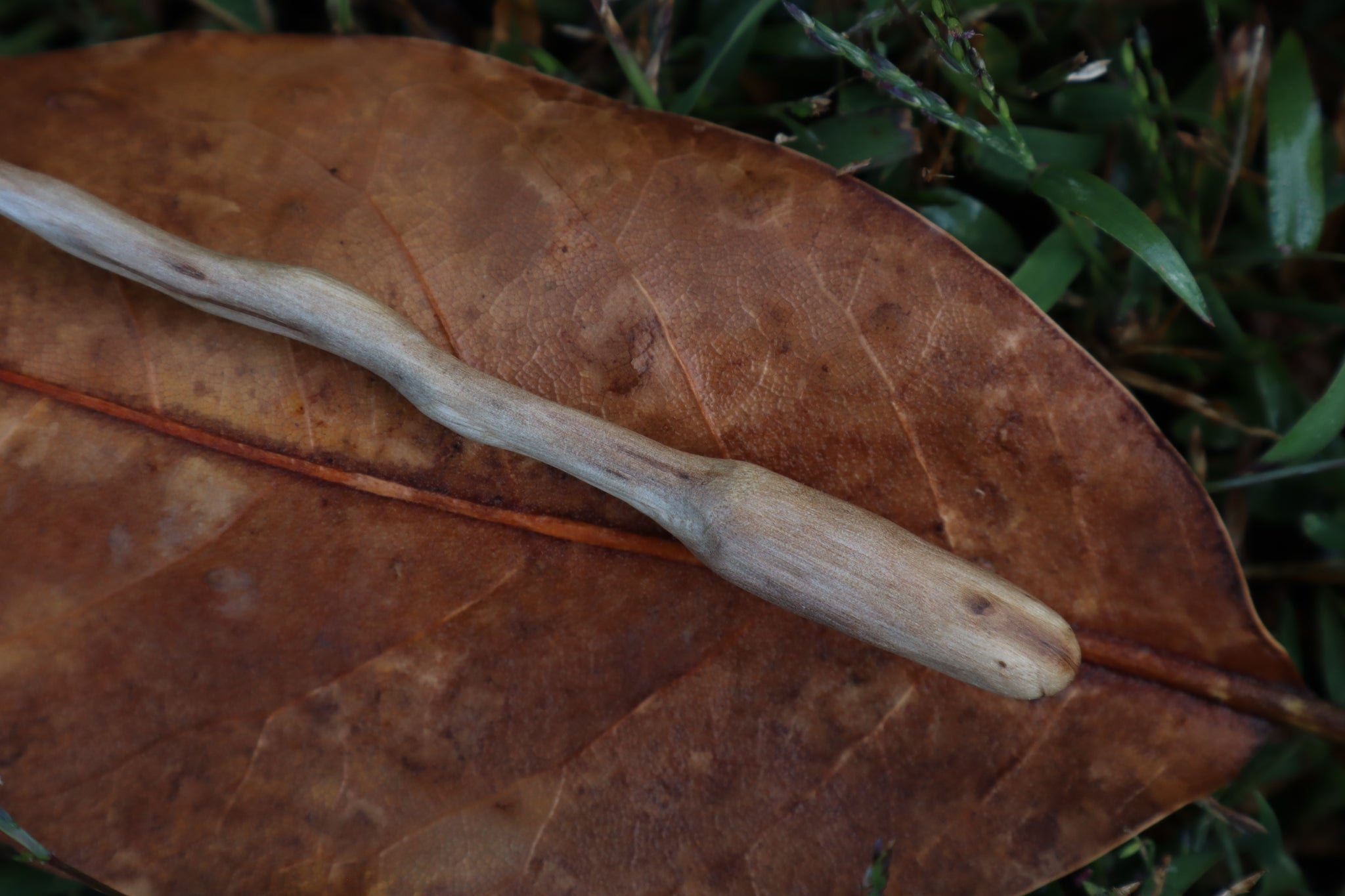 Black Walnut and Pine Marten Femur Offering Spoon