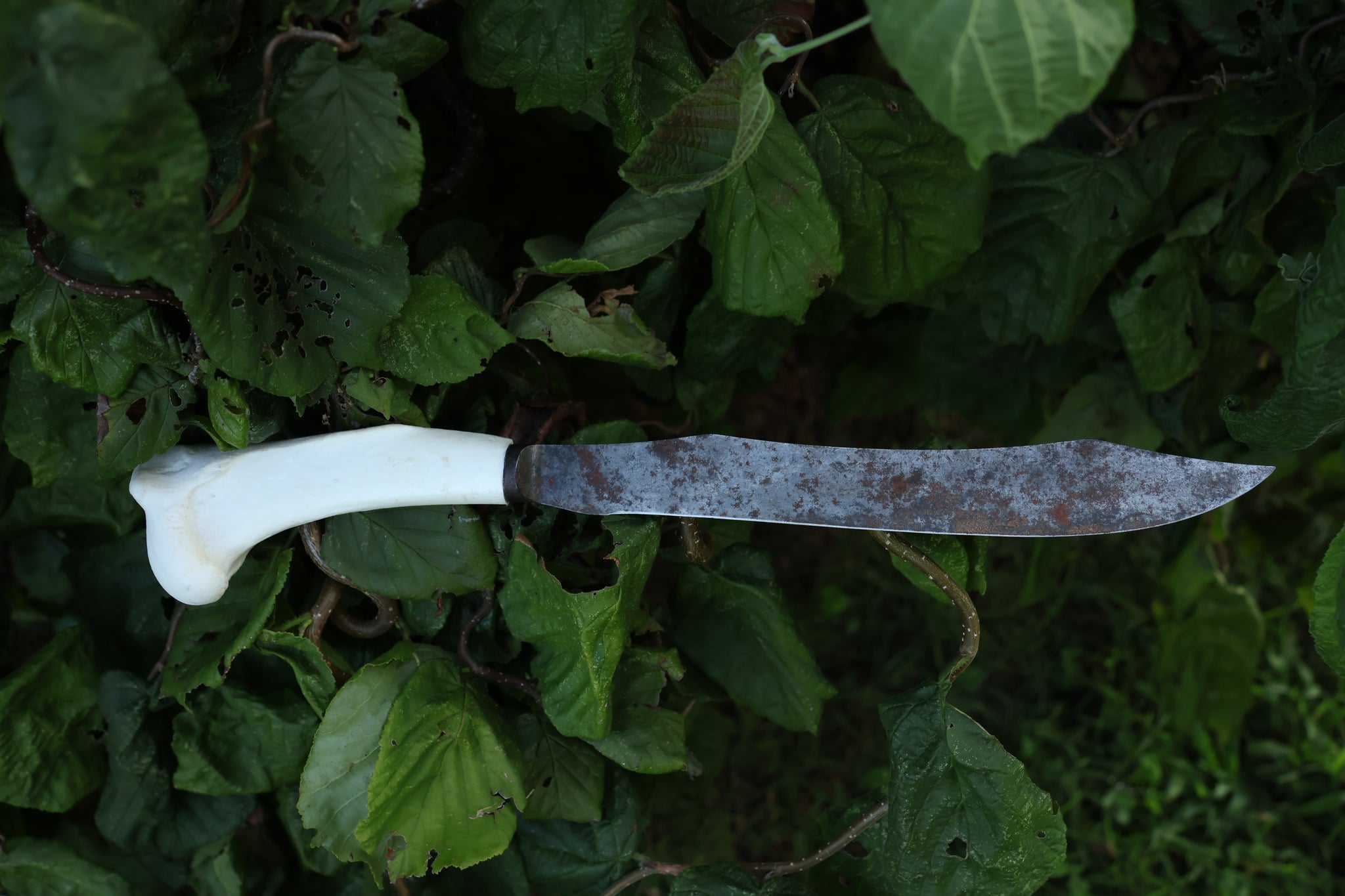 Wolf Bone Knife