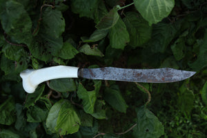 Wolf Bone Knife