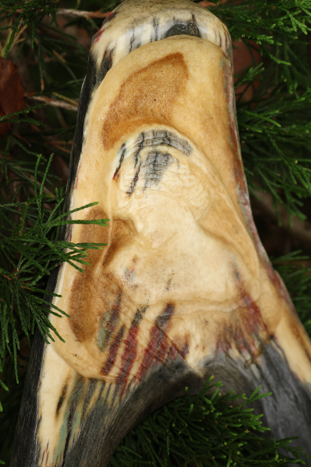Sappho Moose Antler Carving