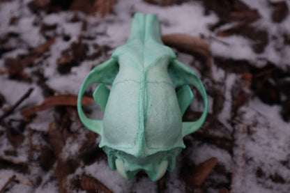 Reserved for Brandon - Blue Copper Coyote Skull
