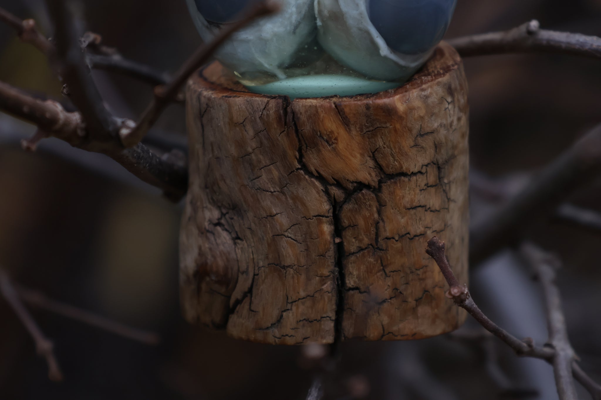 Bobcat Eyeball Crystal Ball