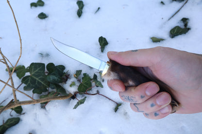 Red Fox Paw Knife