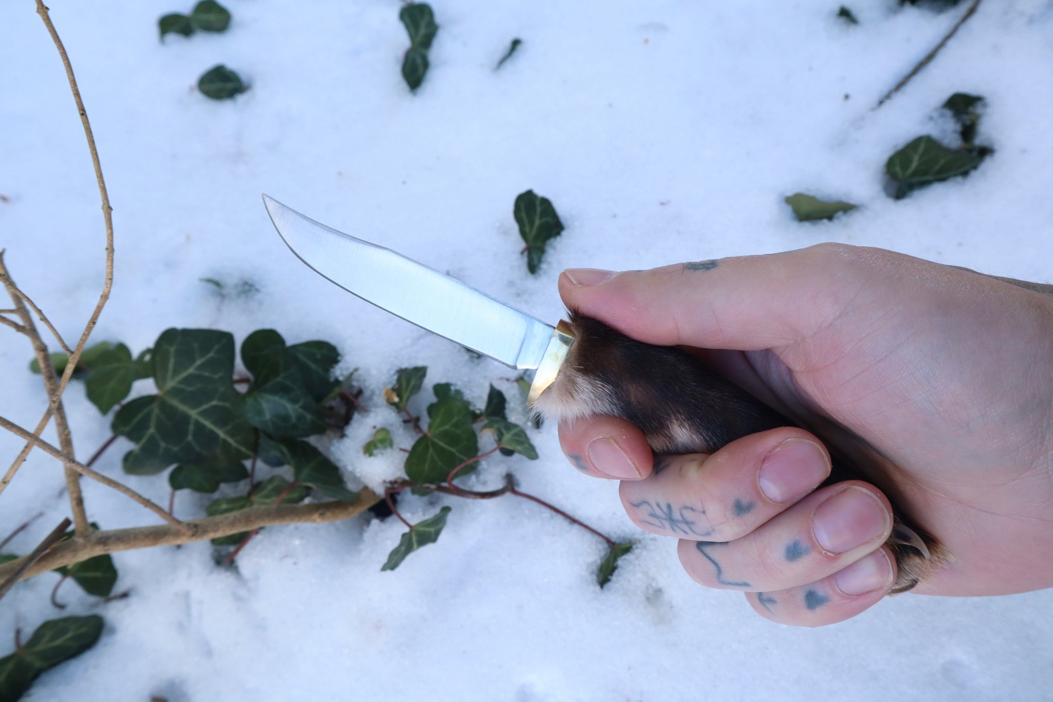 Red Fox Paw Knife