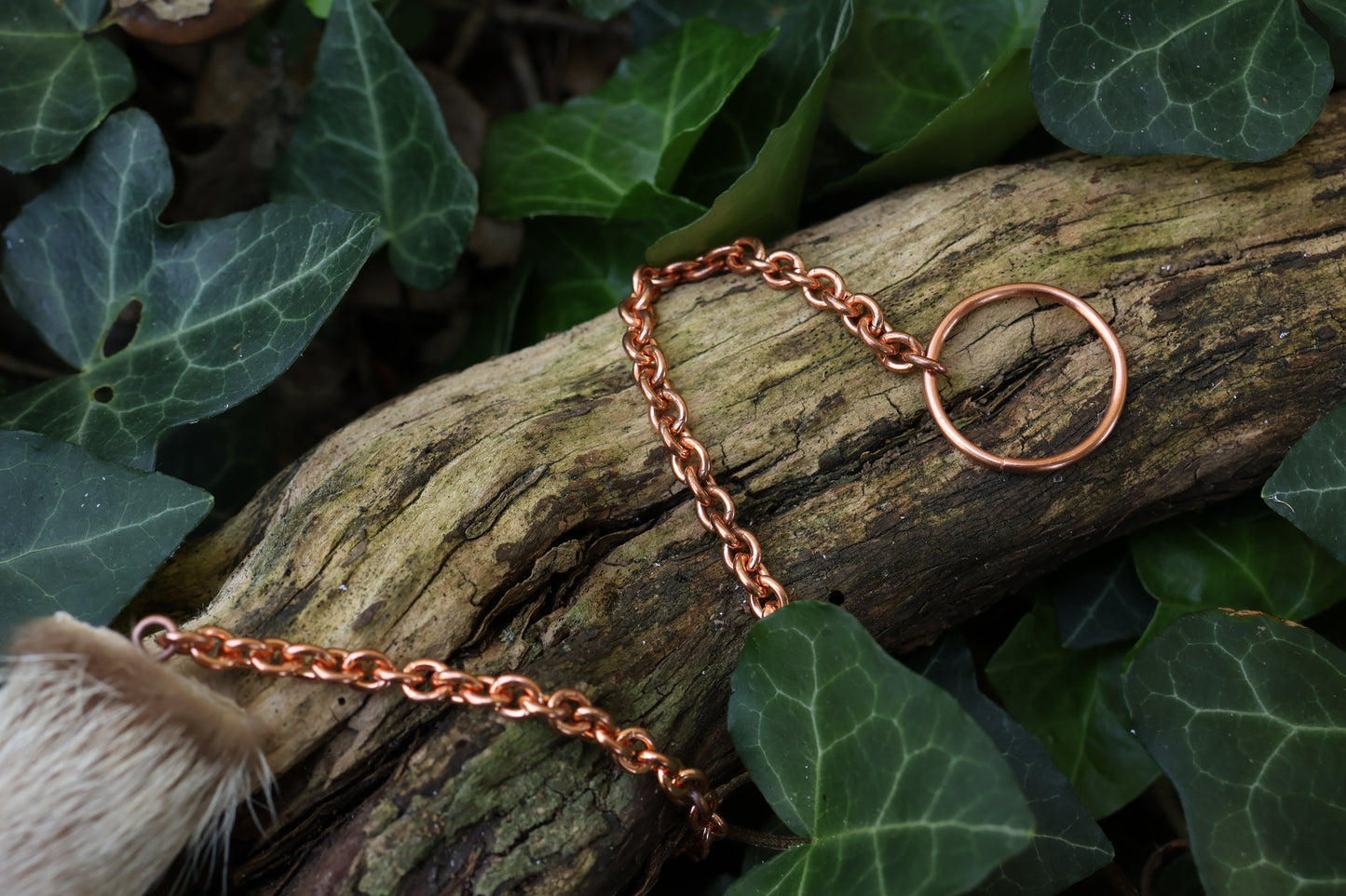 Reserved for Madison - Raccoon Paw Pendulum