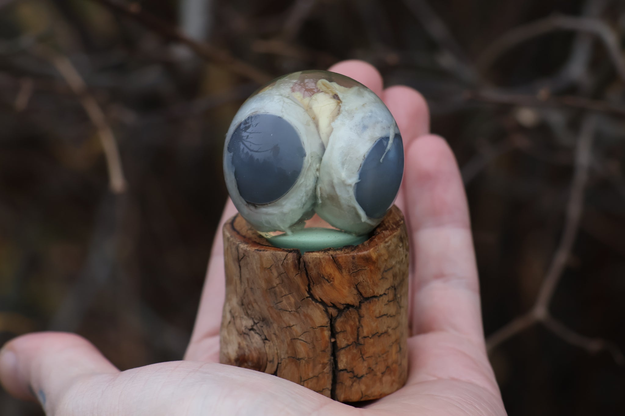 Bobcat Eyeball Crystal Ball