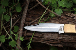 Chaos Monk Folding Knife