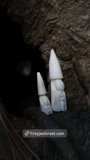 Reserved for Amber - Antler Gnome