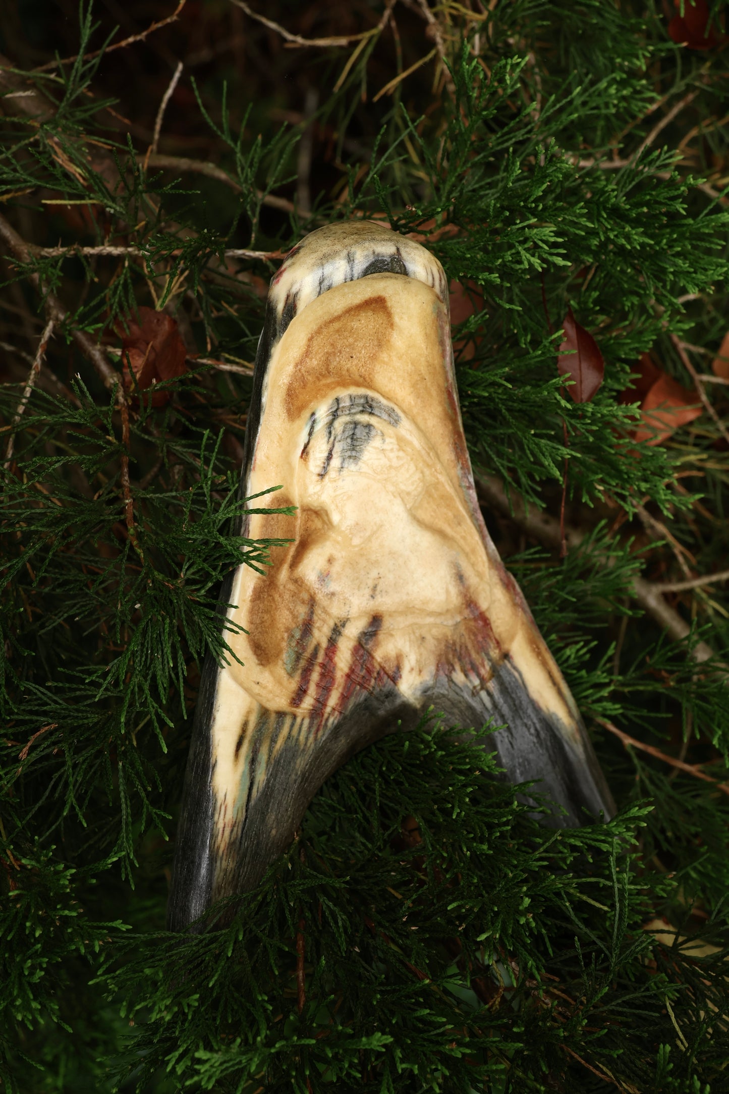 Sappho Moose Antler Carving