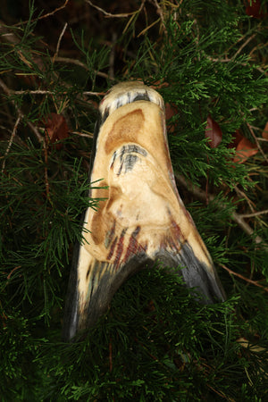Sappho Moose Antler Carving