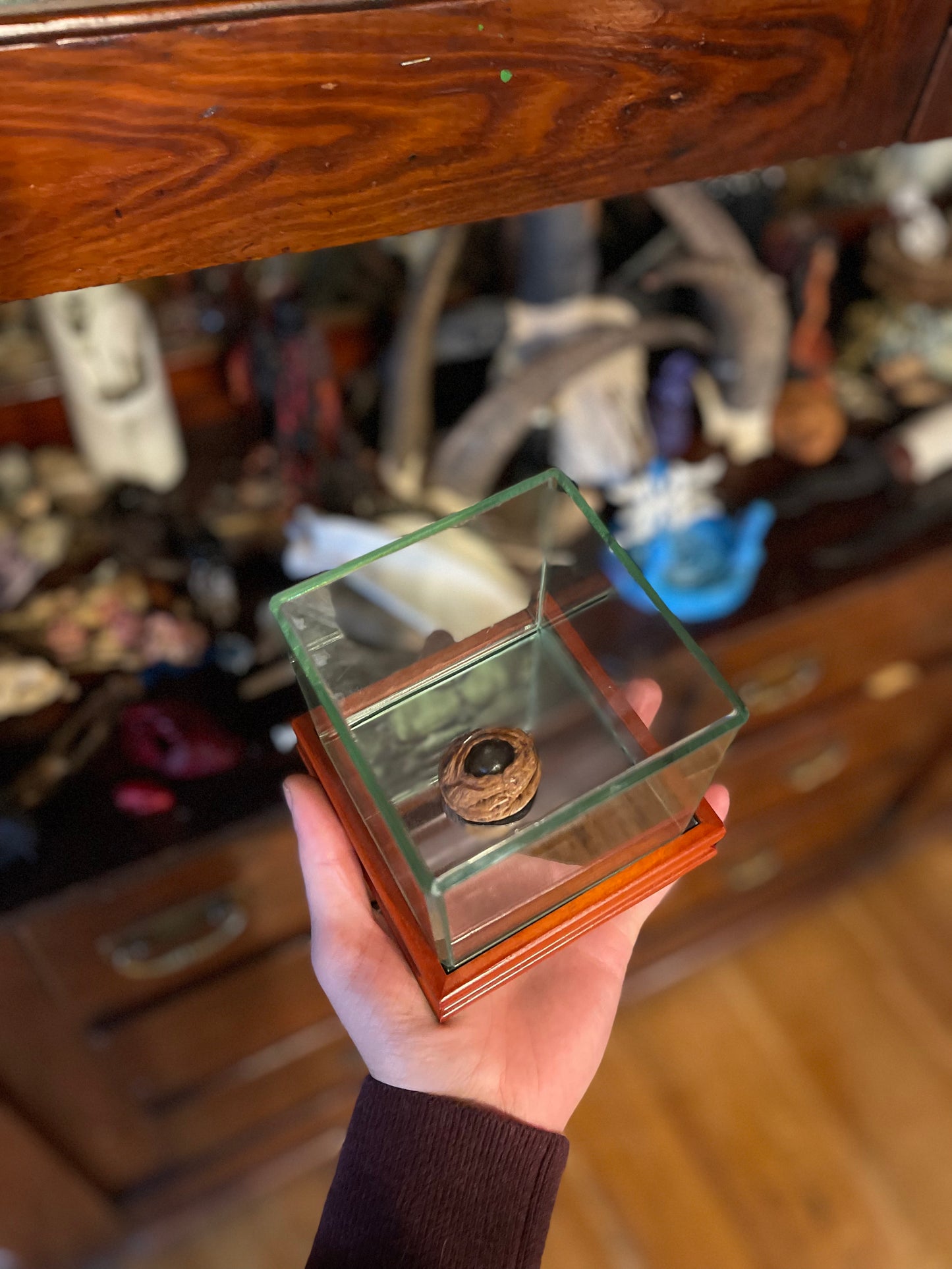 Reserved for Karen - All Seeing Eye Display