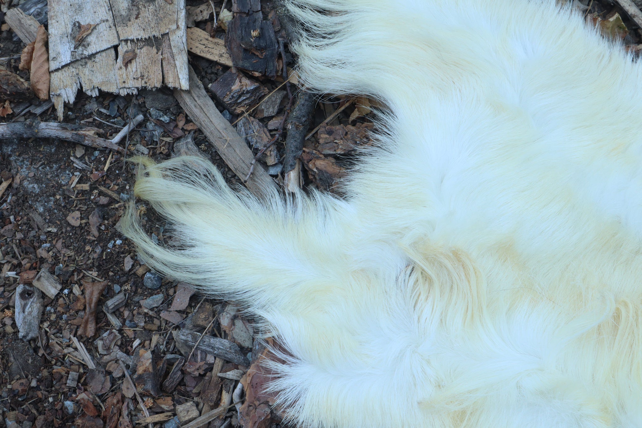 Reserved for Sammy - Boer Goat Pelt