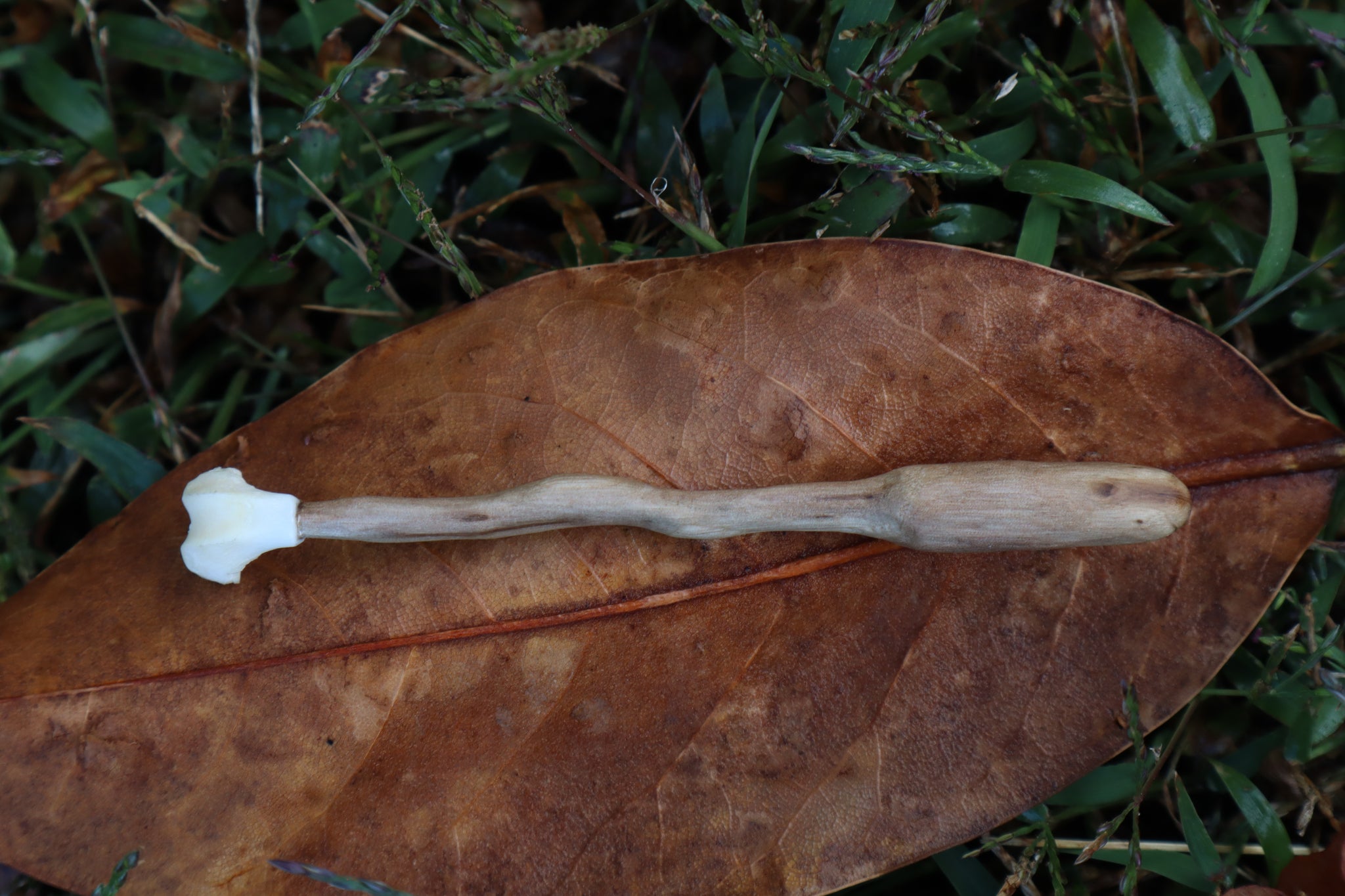 Black Walnut and Pine Marten Femur Offering Spoon