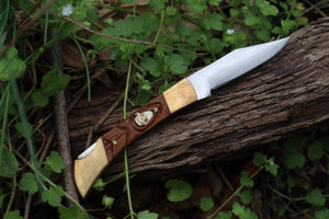 Chaos Monk Folding Knife