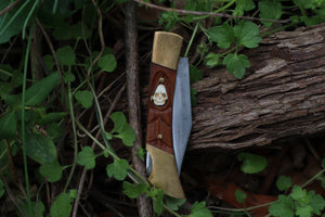 Chaos Monk Folding Knife