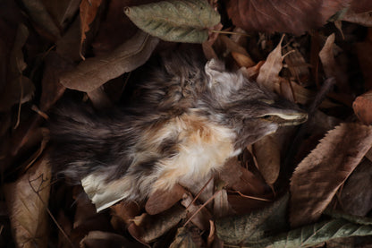 Reserved for Amber - Craft Pine Marten Face
