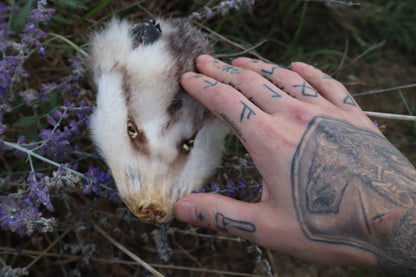 Craft Soft Tanned Opossum Face