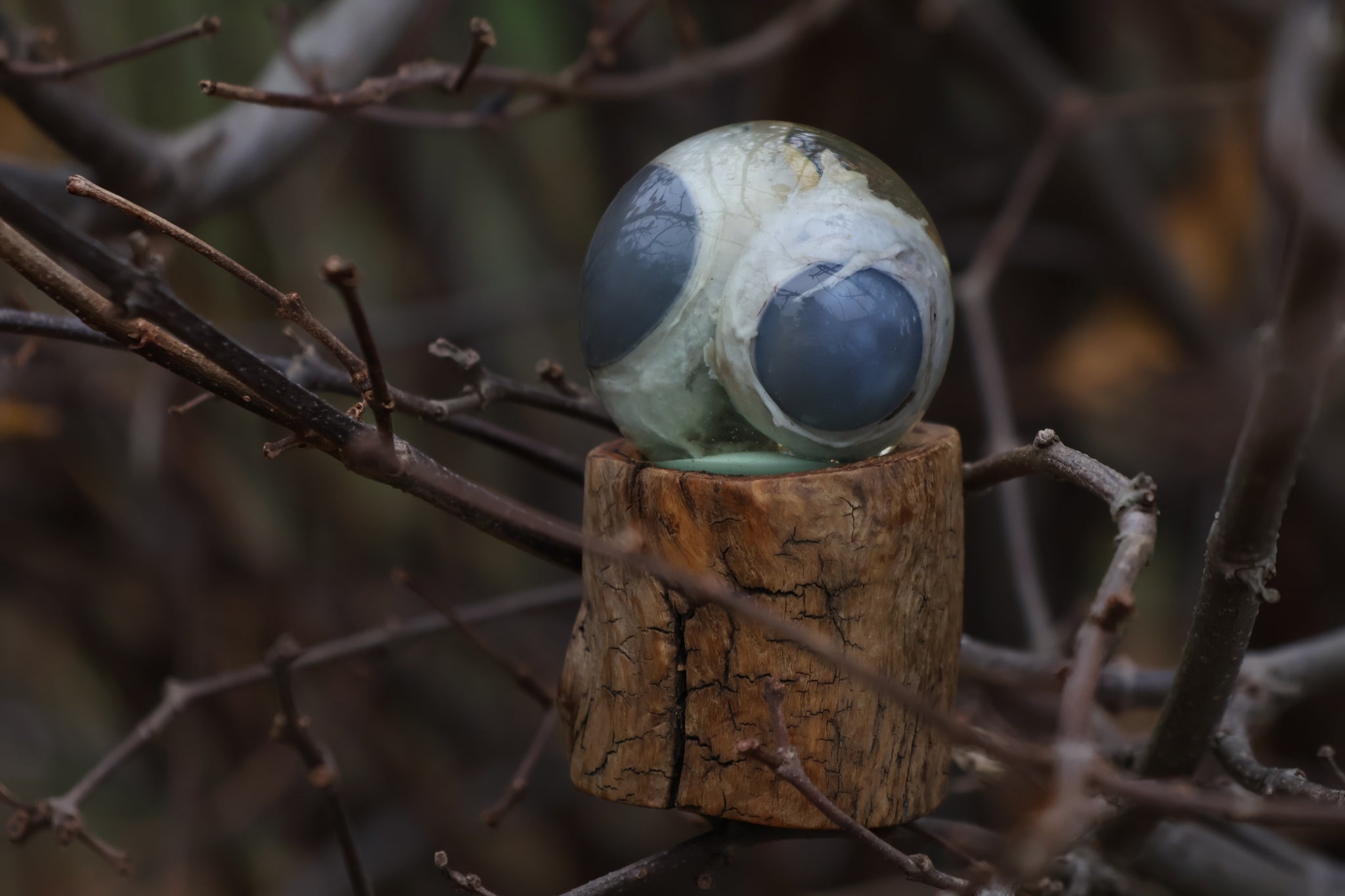 Bobcat Eyeball Crystal Ball