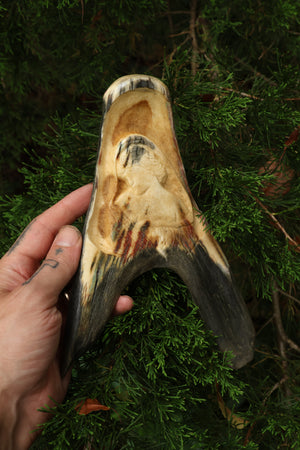Sappho Moose Antler Carving