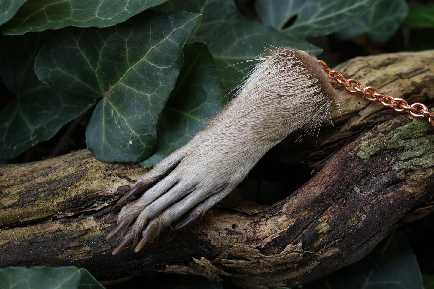 Reserved for Madison - Raccoon Paw Pendulum