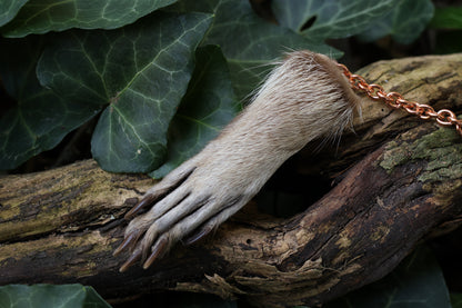 Reserved for Madison - Raccoon Paw Pendulum