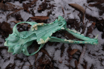 Reserved for Brandon - Blue Copper Coyote Skull
