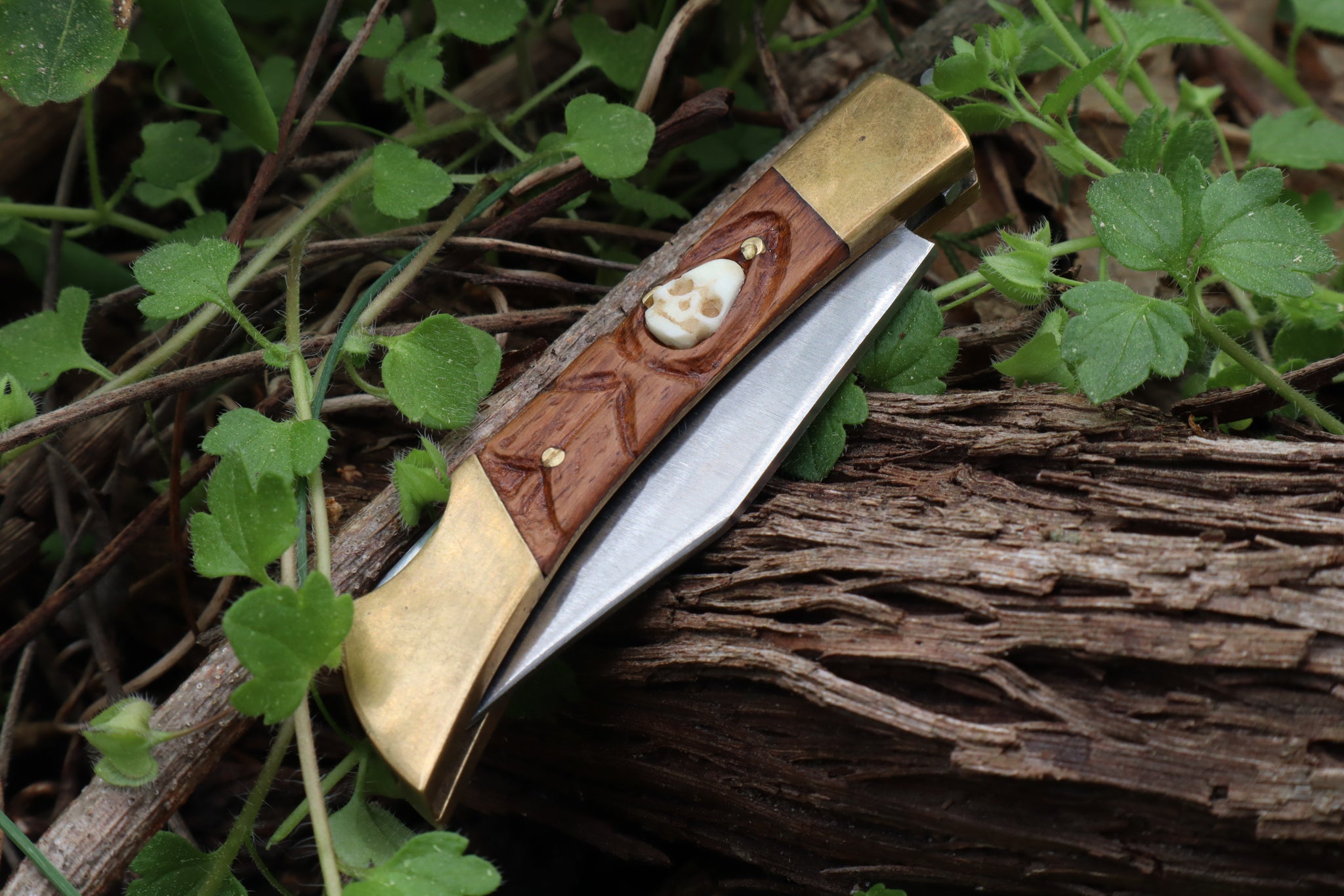 Chaos Monk Folding Knife