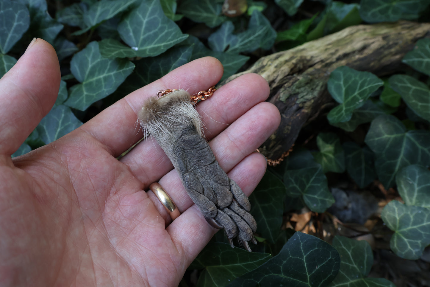 Reserved for Madison - Raccoon Paw Pendulum