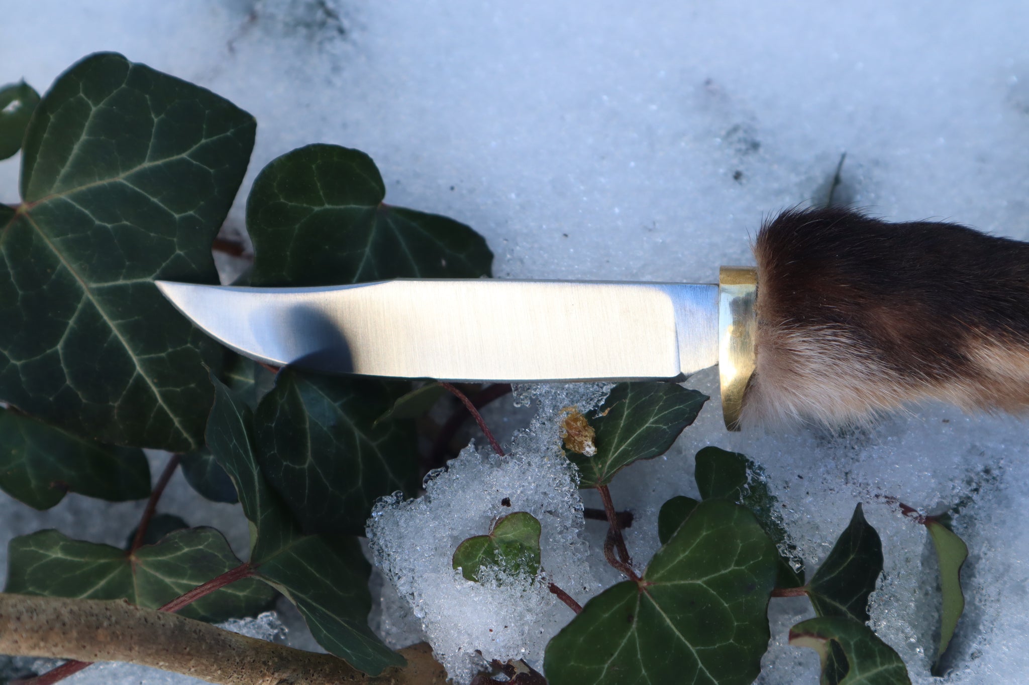 Red Fox Paw Knife