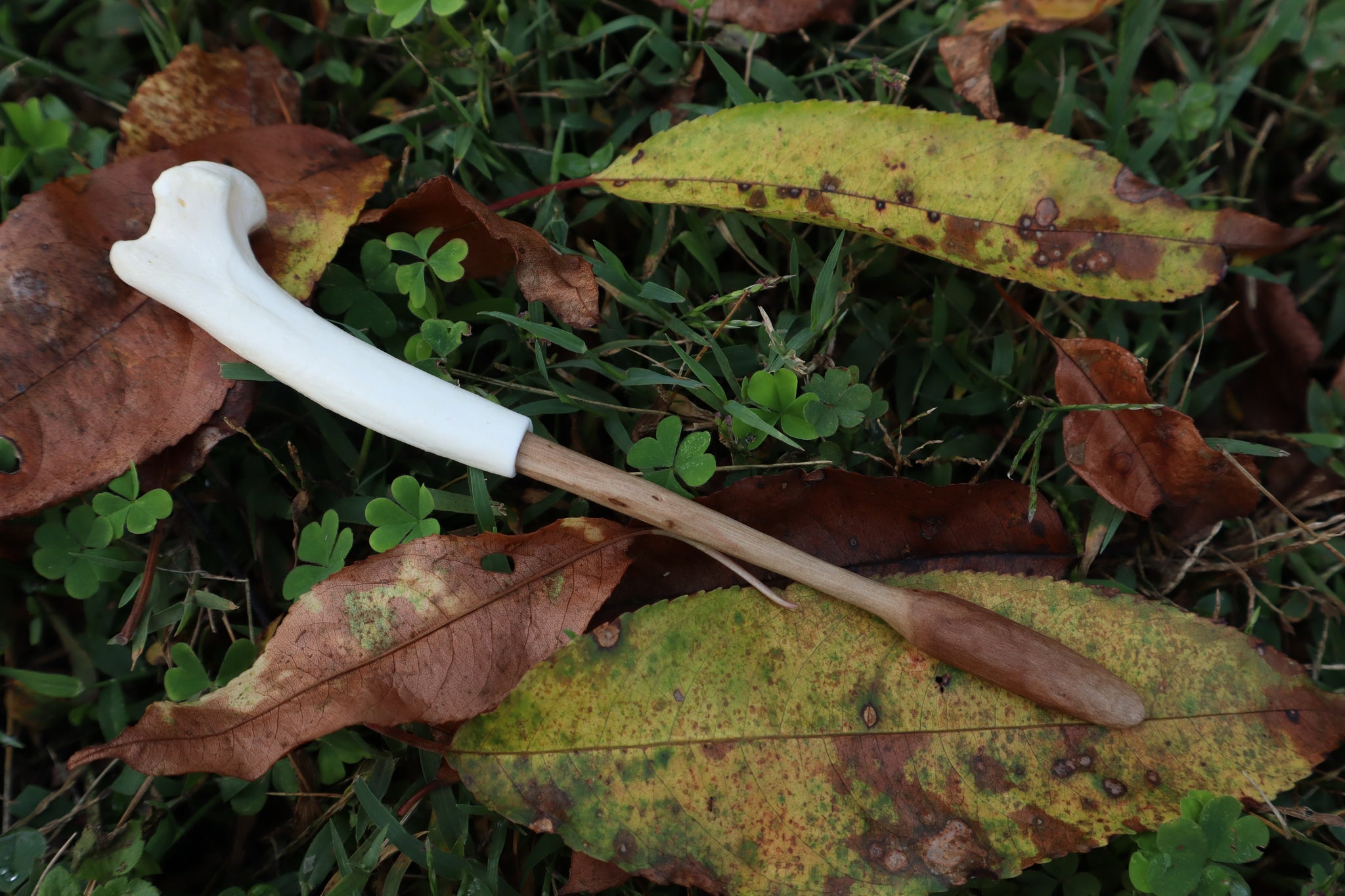 Black Walnut and Bobcat Humerus Offering Spoon