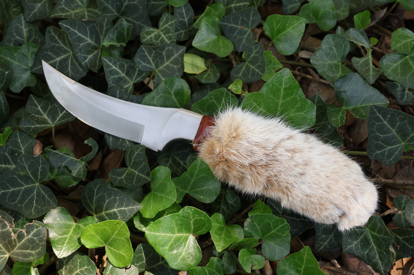 Bobcat Paw Knife