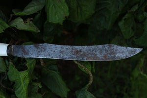Wolf Bone Knife