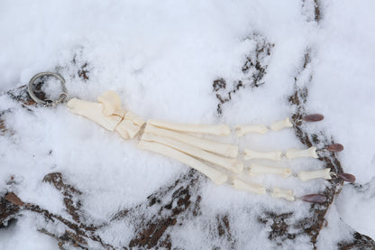Fluid Wolf Paw Articulation with Chocolate Moonstone "Claws"