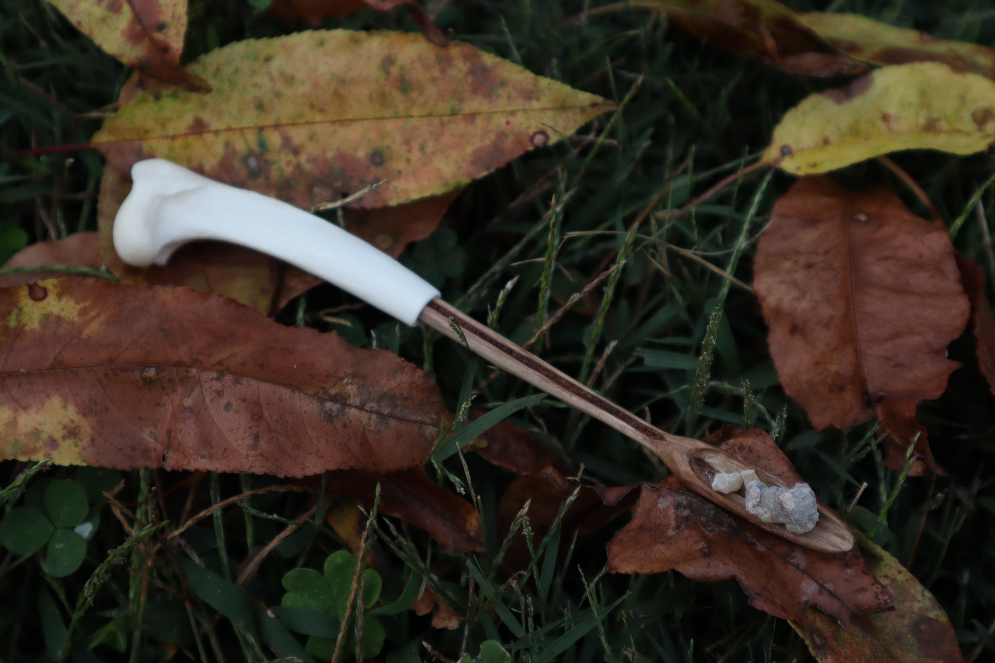 Black Walnut and Bobcat Humerus Offering Spoon