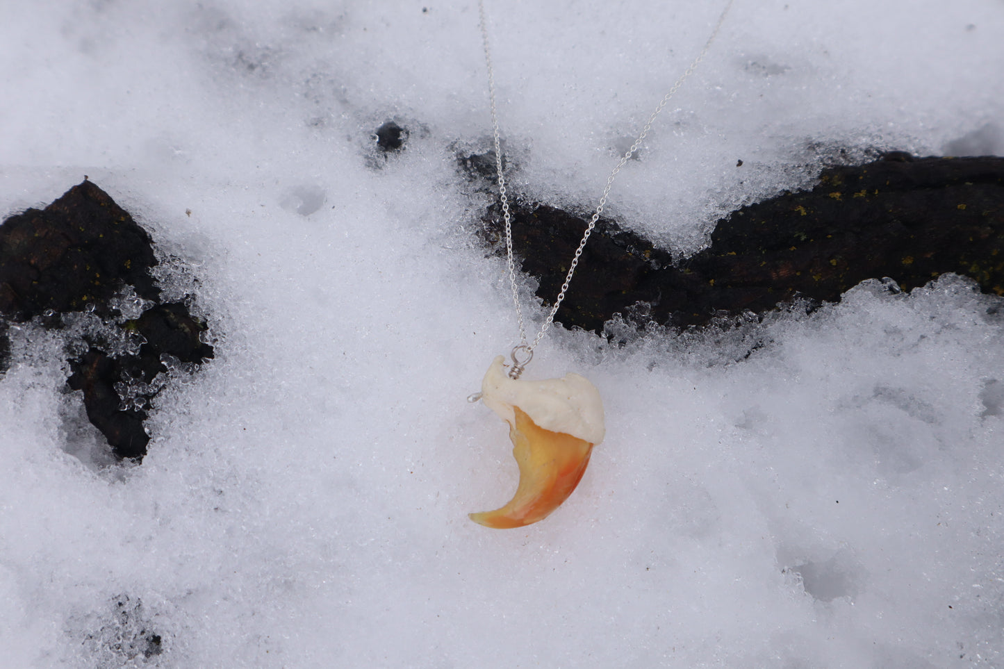Mountain Lion Claw Necklace