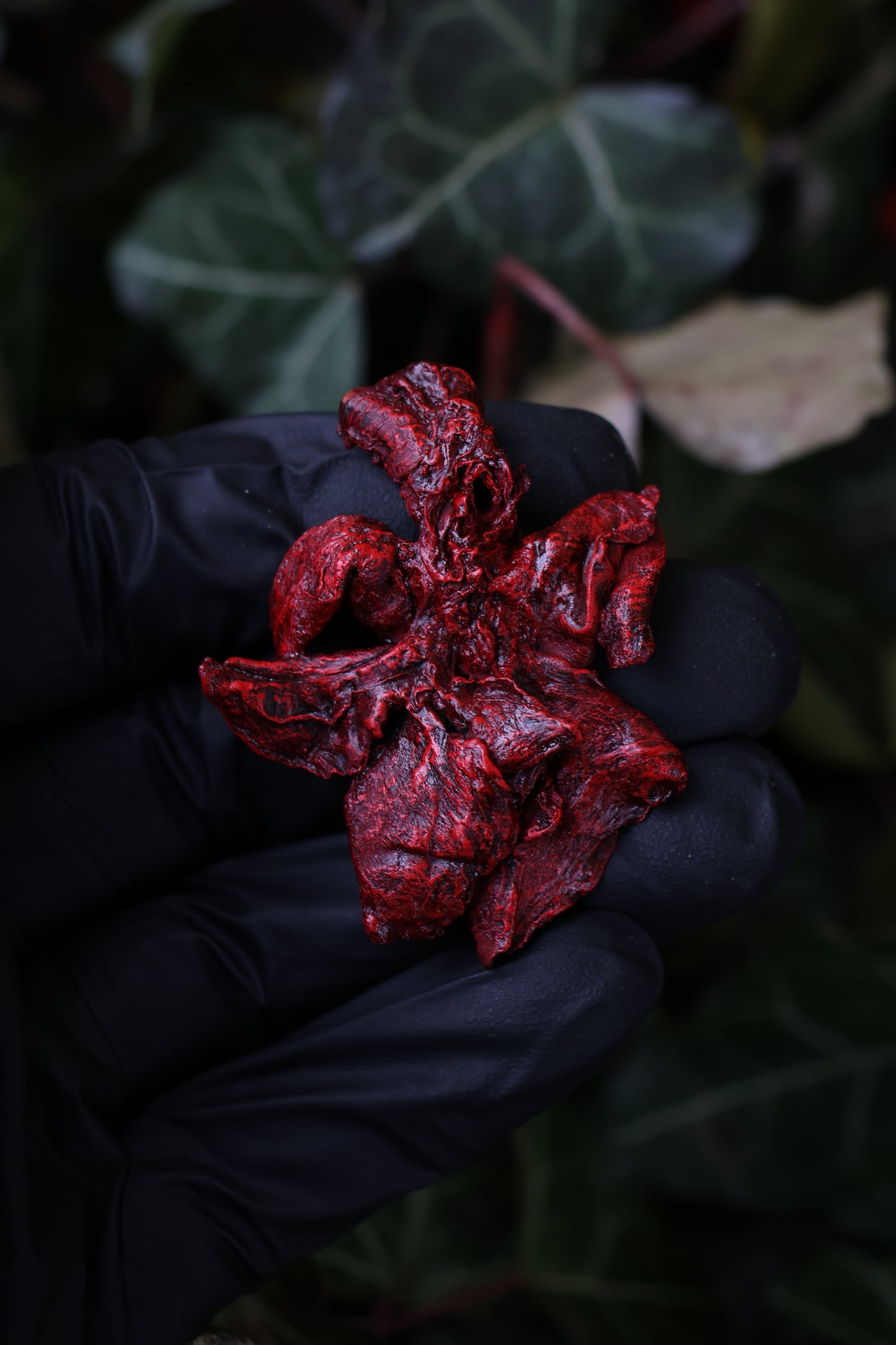 Dry Preserved Kitten Lungs