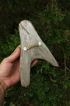 Sappho Moose Antler Carving