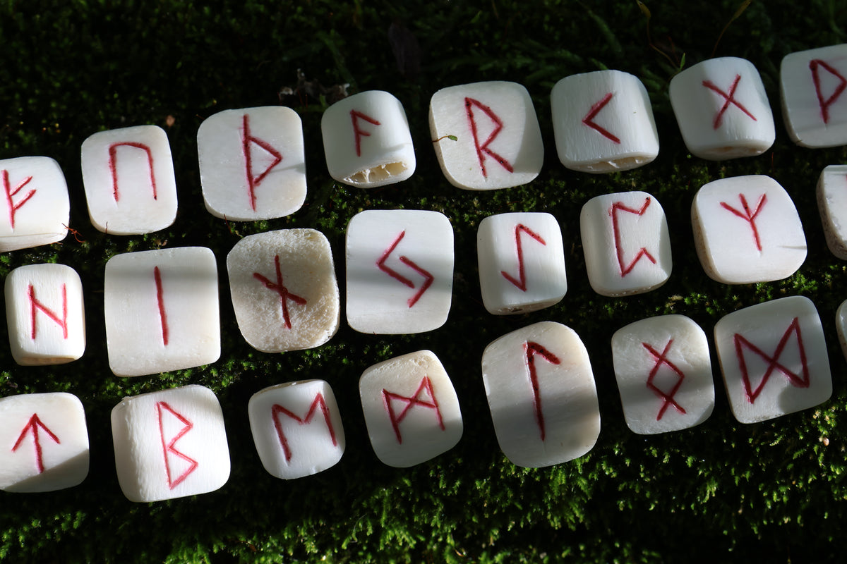 Deer Rib Elder Futhark Rune Set