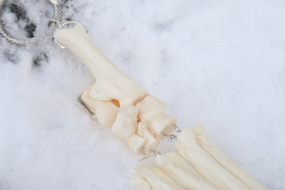 Fluid Wolf Paw Articulation with Chocolate Moonstone "Claws"