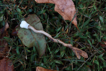 Black Walnut and Kitten Femur Offering Spoon