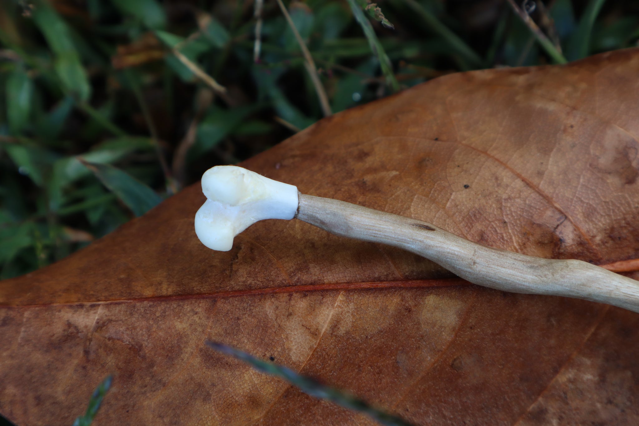 Black Walnut and Pine Marten Femur Offering Spoon