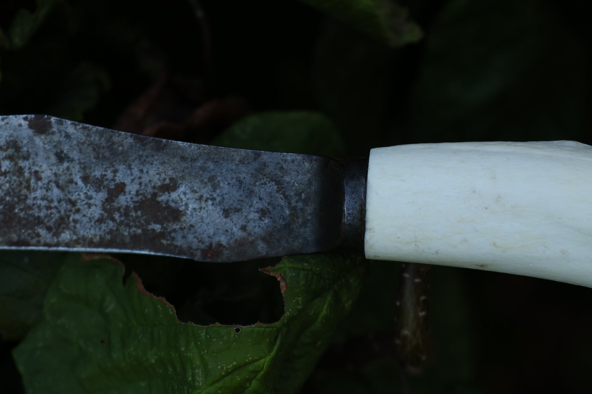 Wolf Bone Knife