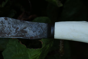 Wolf Bone Knife