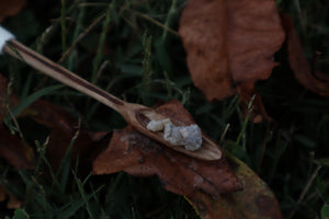 Black Walnut and Bobcat Humerus Offering Spoon