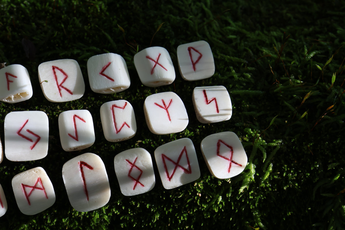Deer Rib Elder Futhark Rune Set