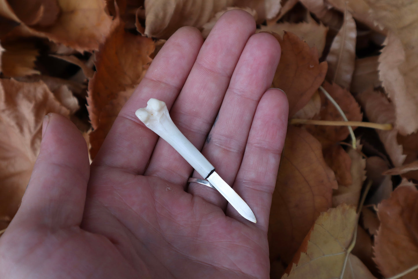 Reserved for Hannah - Rabbit Femur Knives