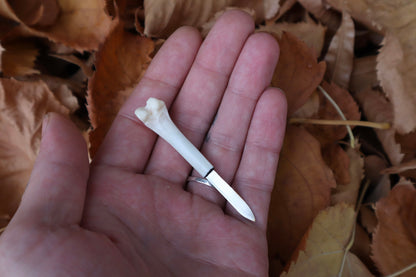 Reserved for Hannah - Rabbit Femur Knives