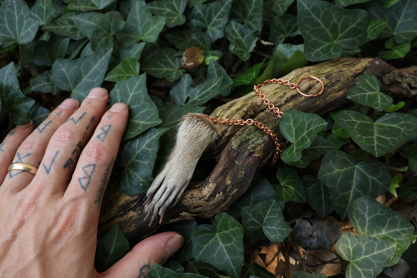Reserved for Madison - Raccoon Paw Pendulum