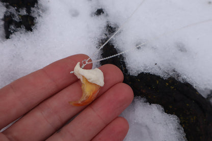 Mountain Lion Claw Necklace