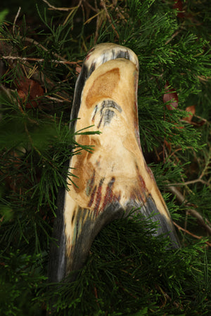 Sappho Moose Antler Carving